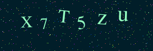 Validation image